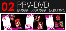 yCp[r[DVD